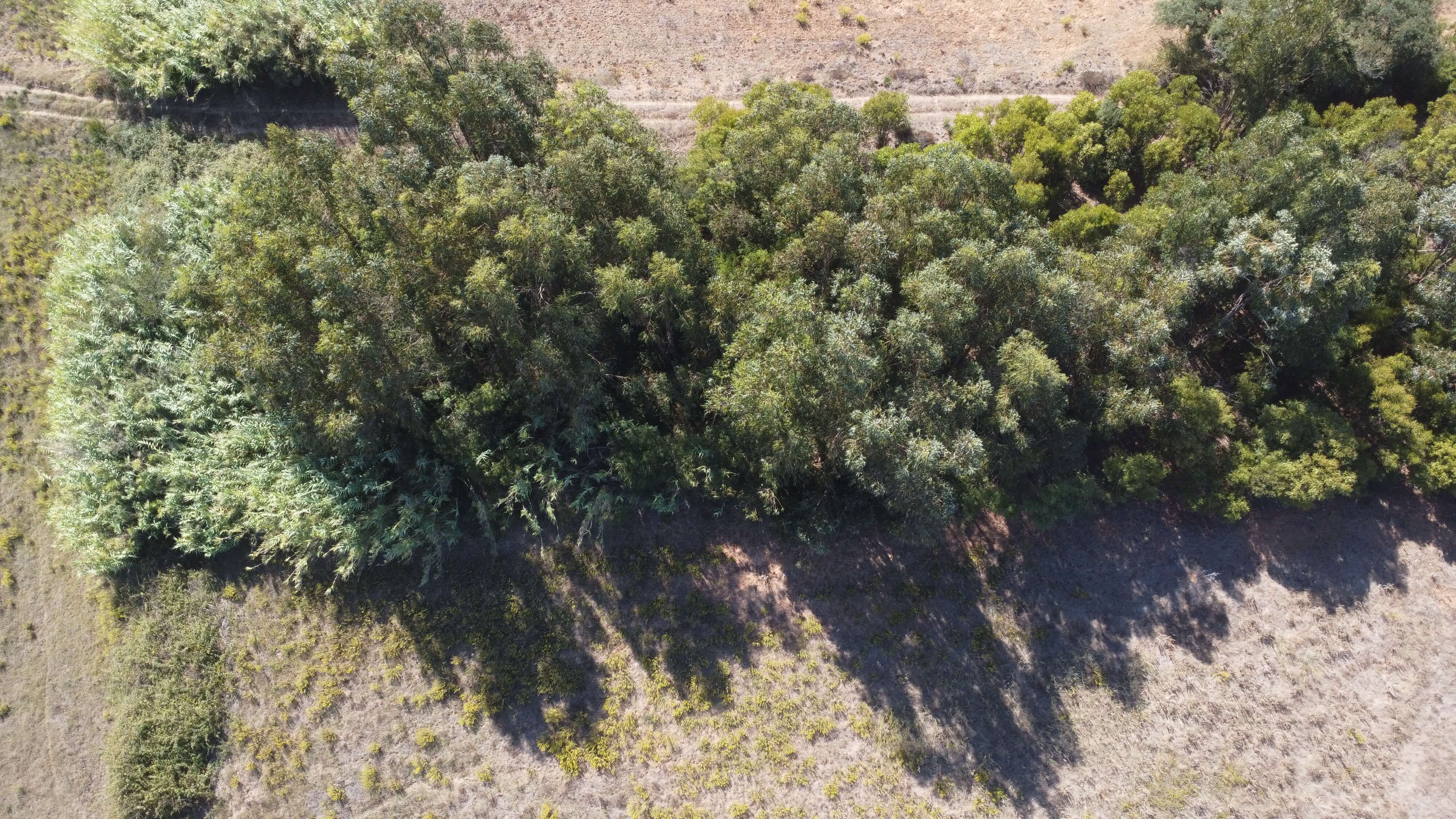 DJI_0361.JPG