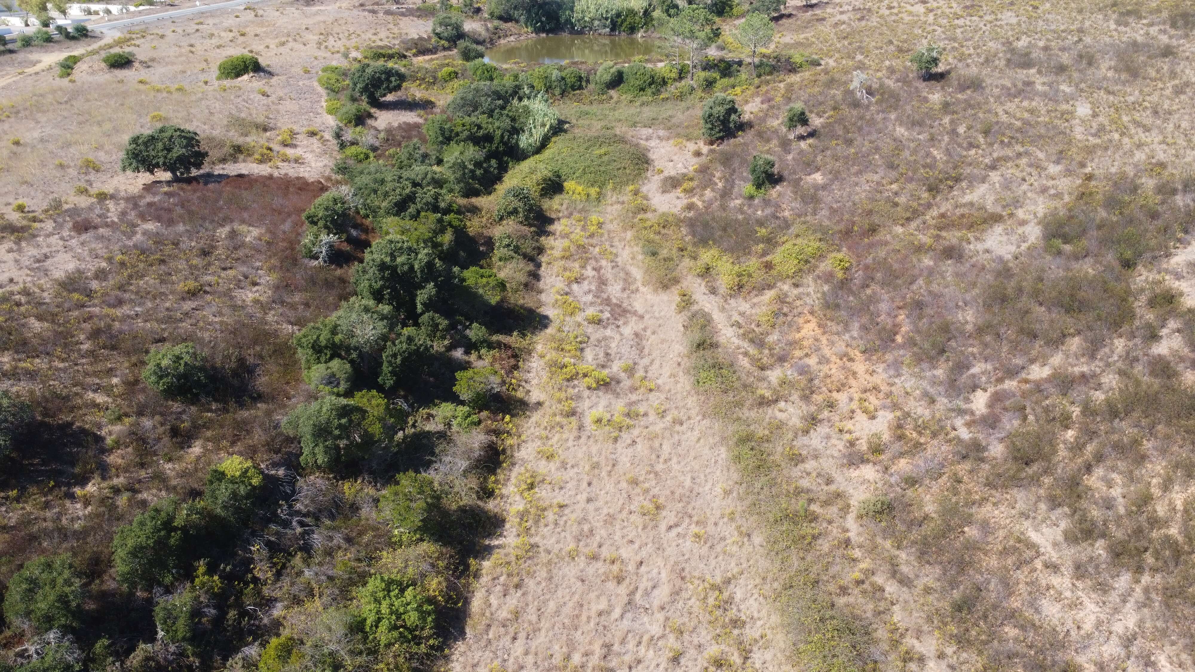 DJI_0363.JPG