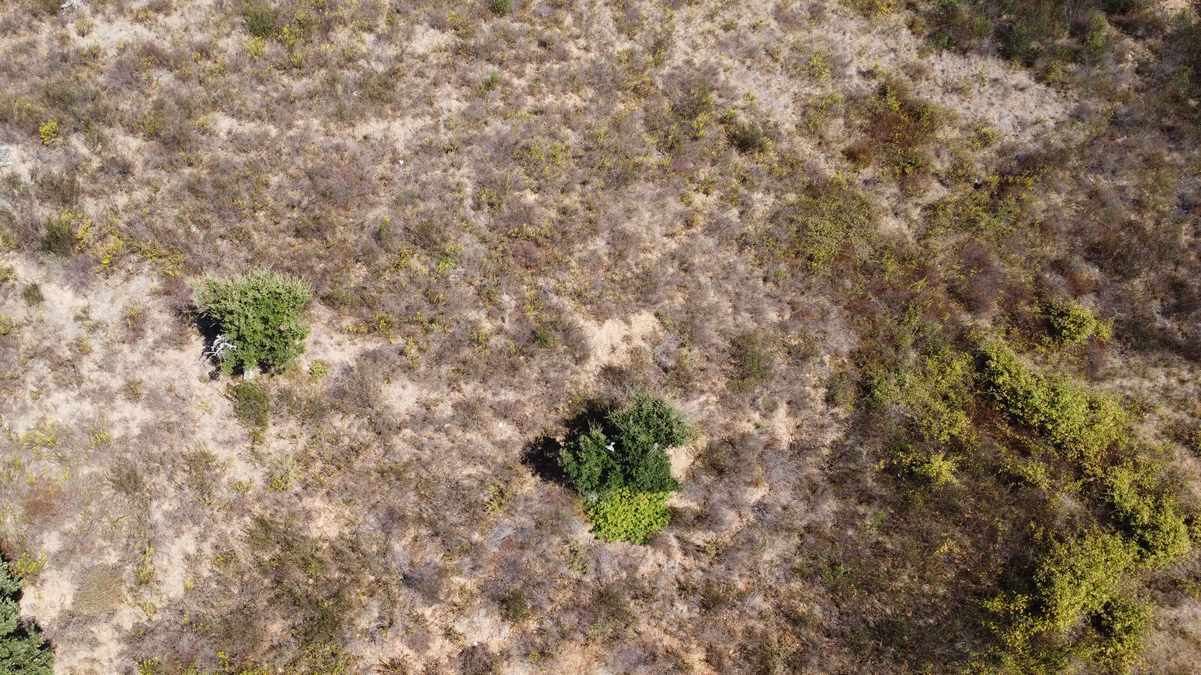 DJI_0364.JPG