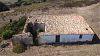 DJI_0353.JPG