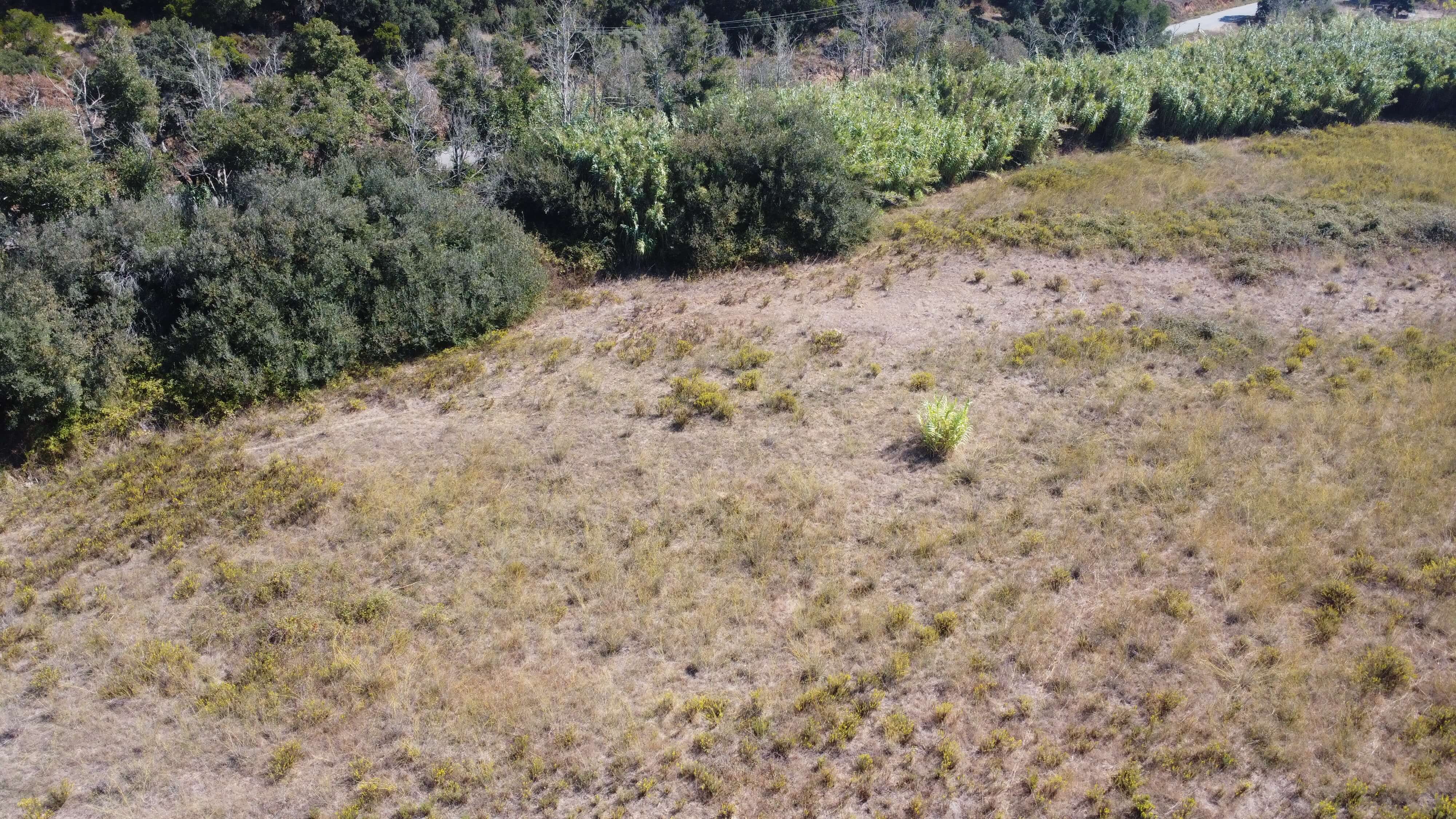 DJI_0359.JPG
