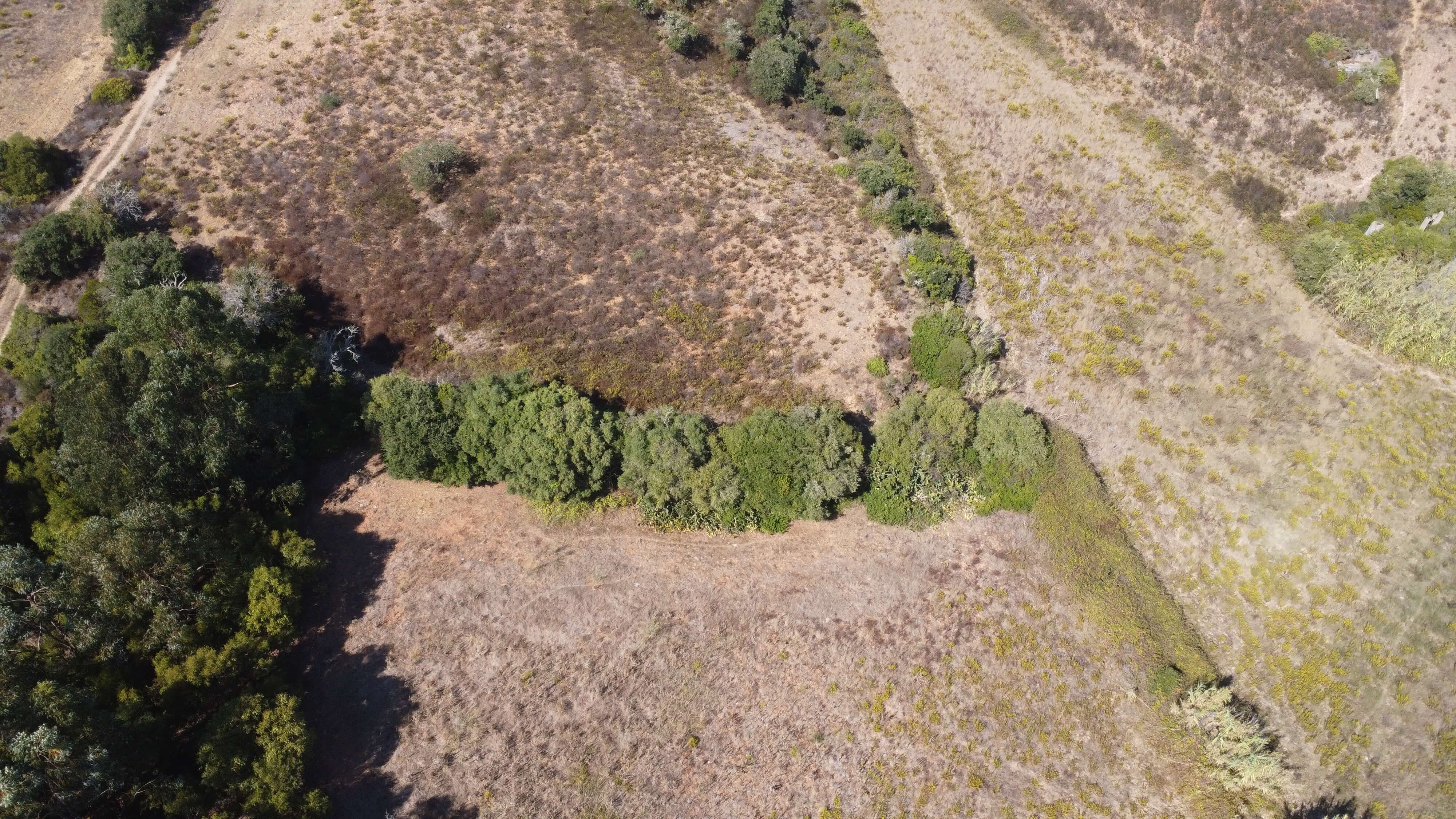 DJI_0362.JPG