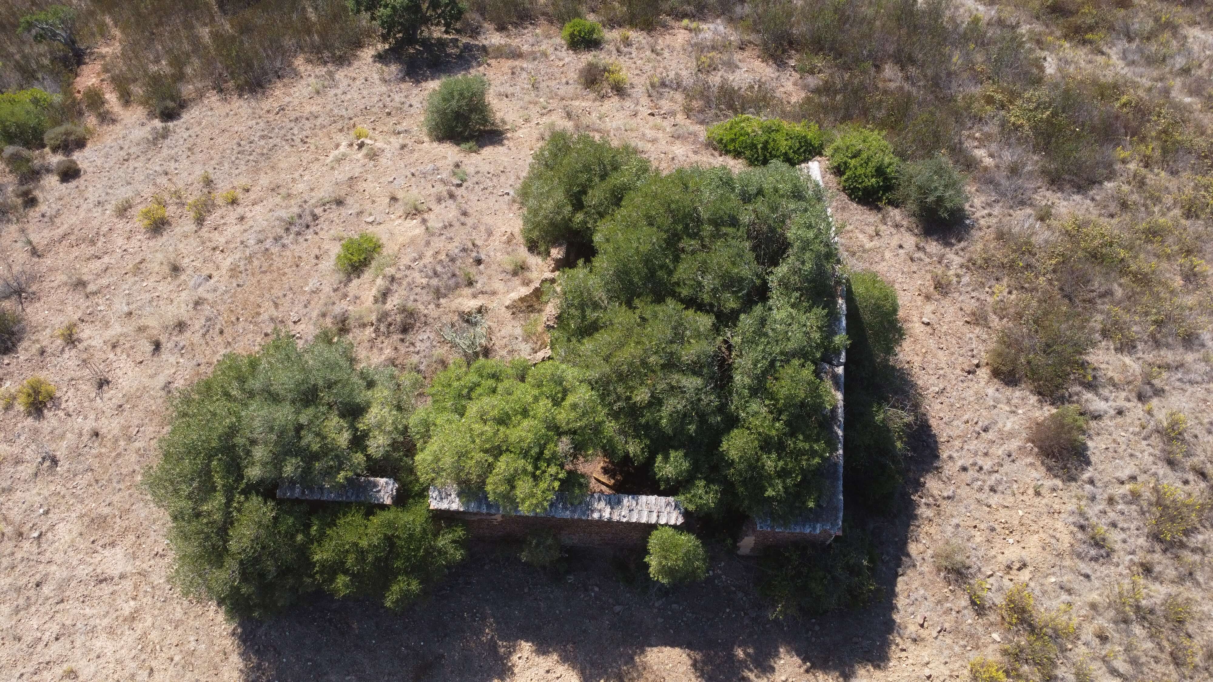 DJI_0354.JPG