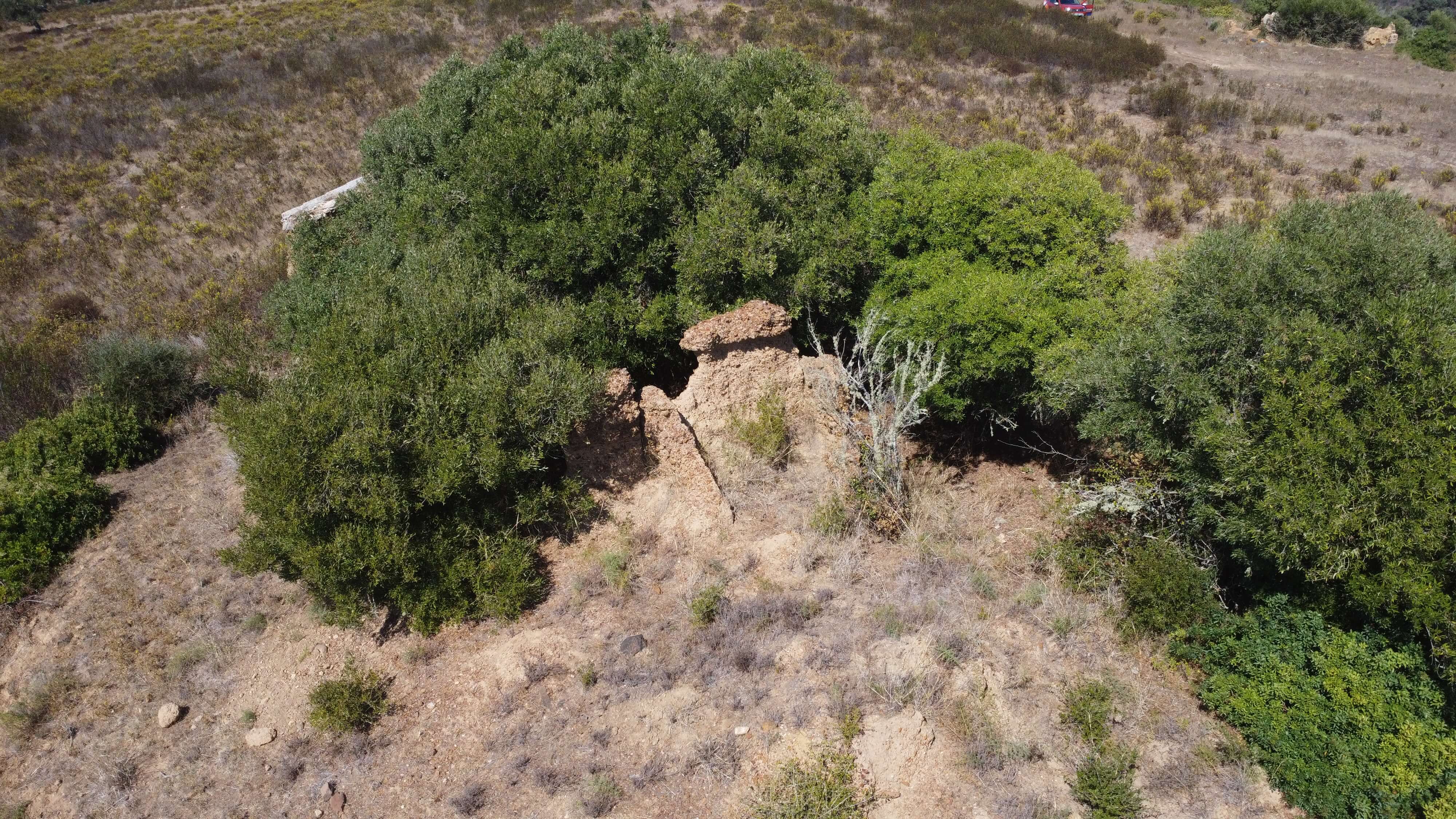 DJI_0355.JPG