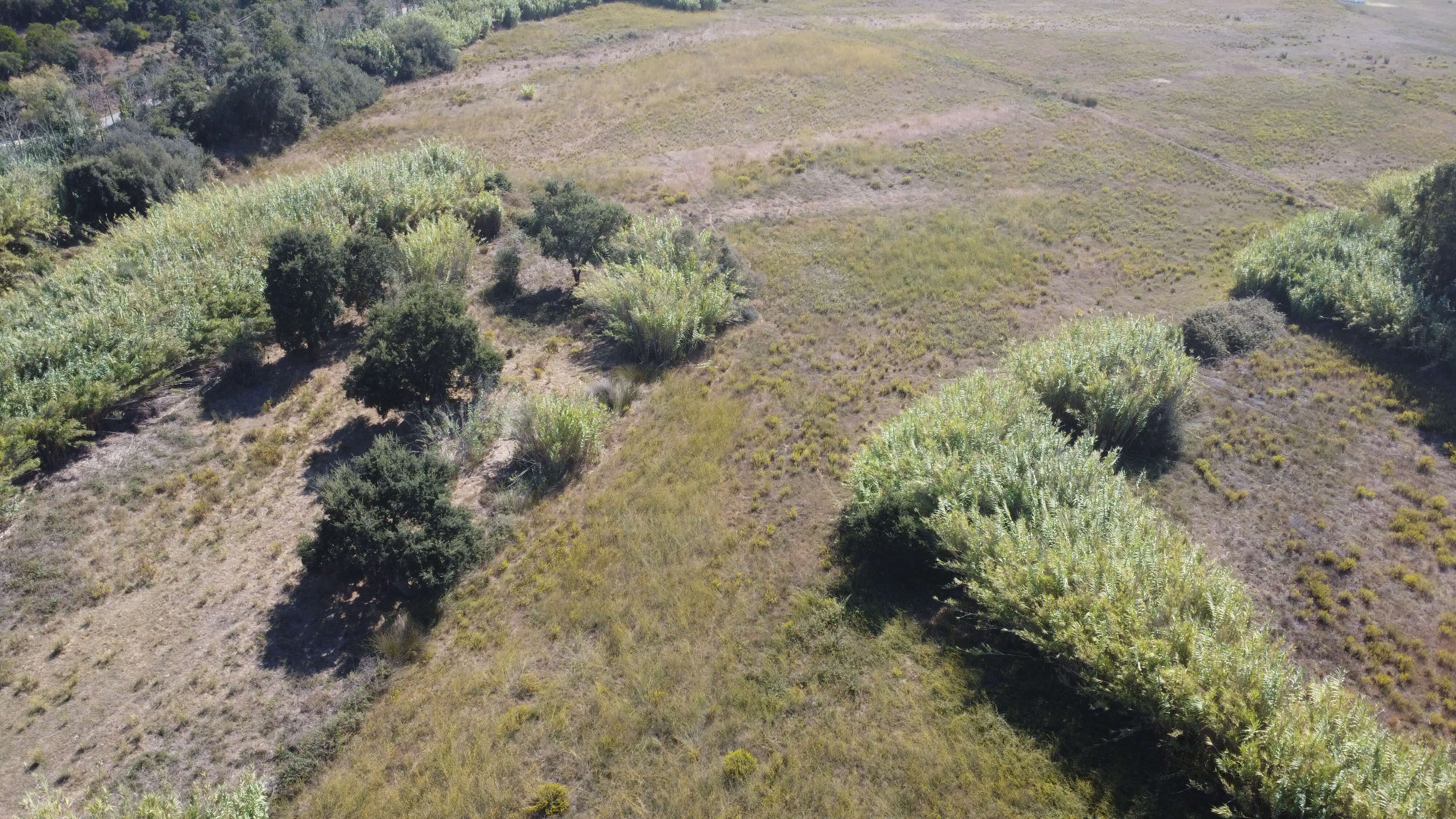 DJI_0358.JPG