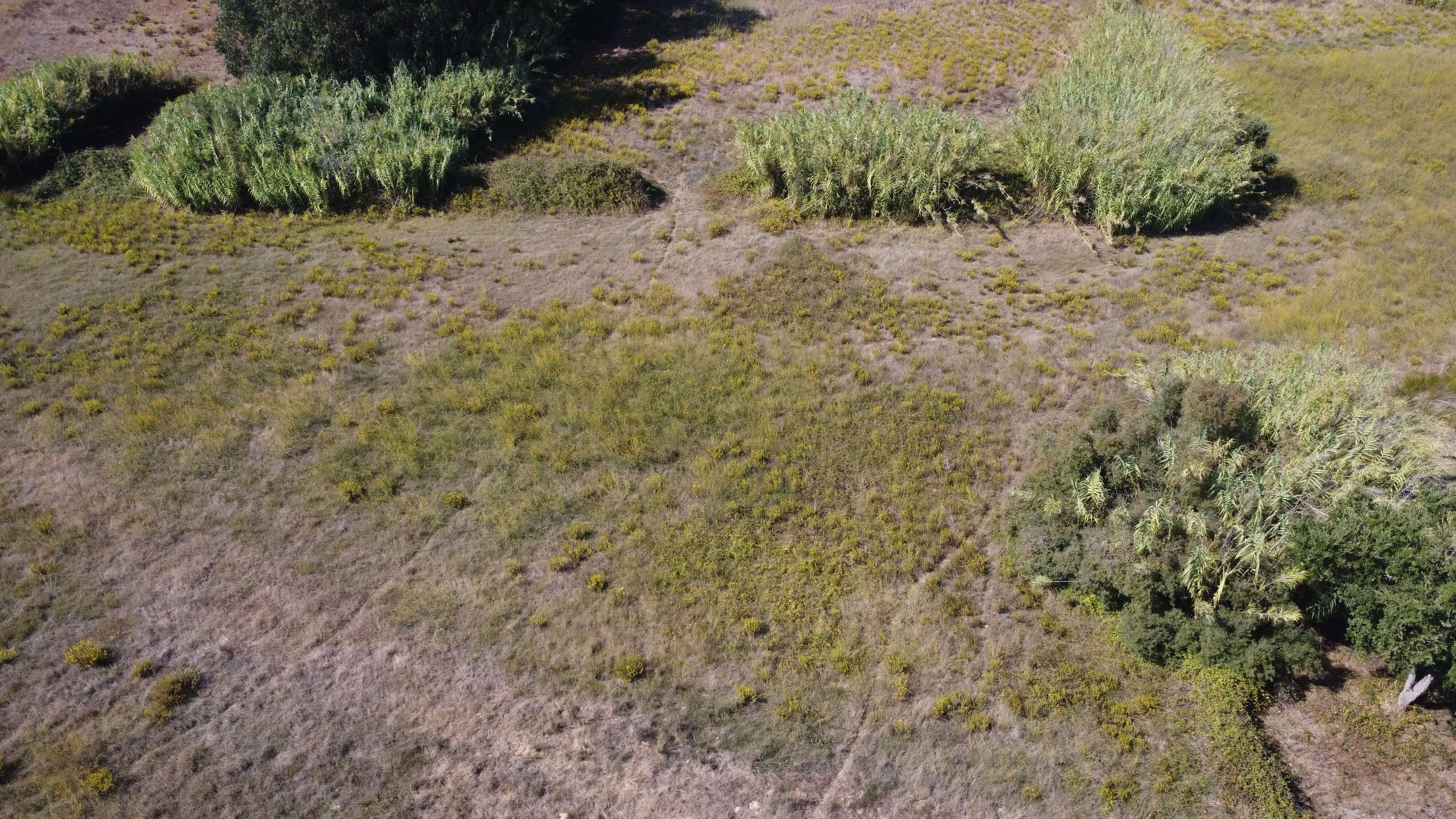 DJI_0360.JPG